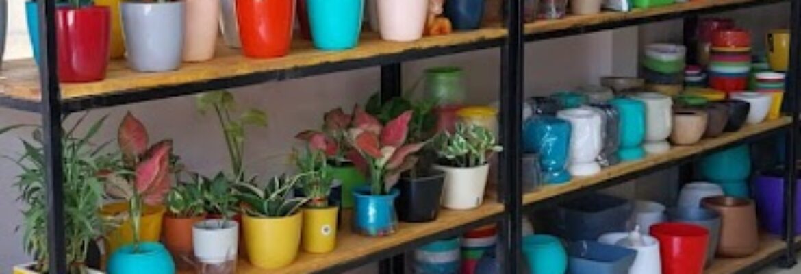 Nursery Yard
