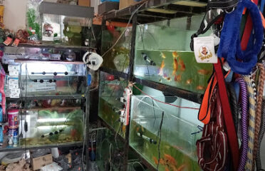 COSMOS MAJJWANI PET SHOP