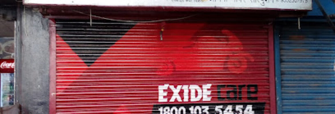 Exide Care   Omega Power Systems